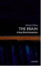 The Brain A Very Short Introduction