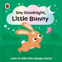 Say Goodnight Little Bunny