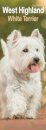 West Highland Terrier Slim Calendar 2026  Dog Breed Slimline Calendar - 12 Month