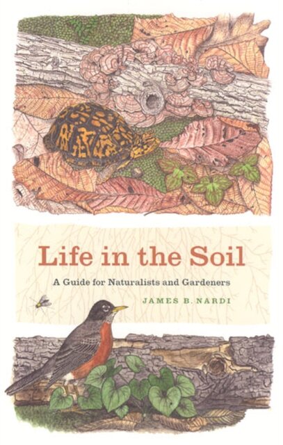 Life in the Soil