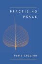 Practicing Peace