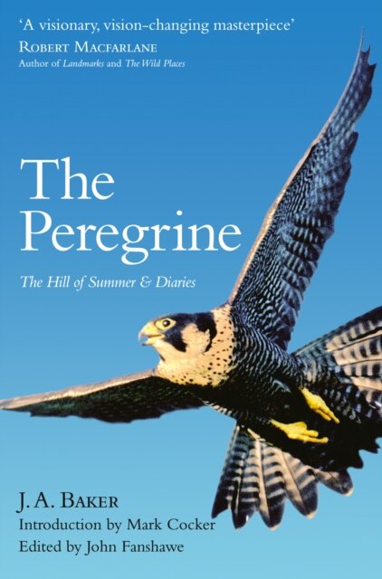 The Peregrine: The Hill Of Summer & Diaries