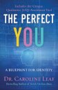 The Perfect You – A Blueprint for Identity