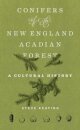 Conifers of the New England–Acadian Forest