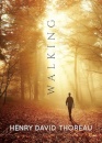 Walking