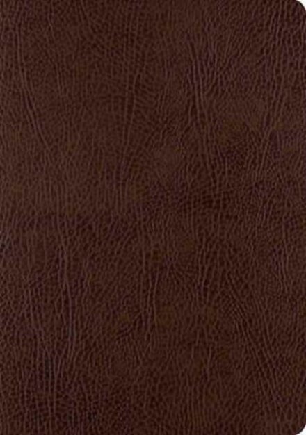 ESV Single Column Journaling Bible, Large Print