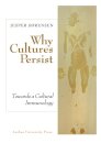 Why Cultures Persist