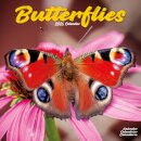 Butterflies Calendar 2026  Square Butterfly Wall Calendar - 16 Month