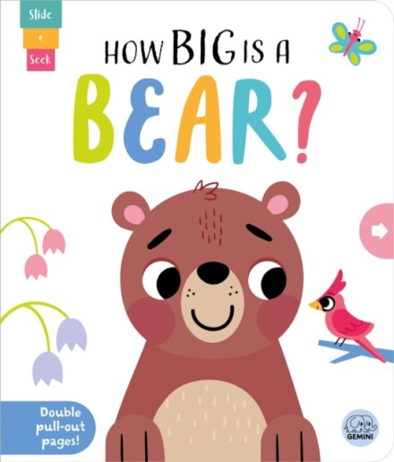 How Big Is A Bear?