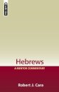 Hebrews: A Mentor Commentary