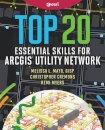Top 20 Essential Skills for ArcGIS Utility Network