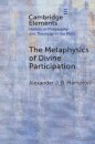 The Metaphysics of Divine Participation