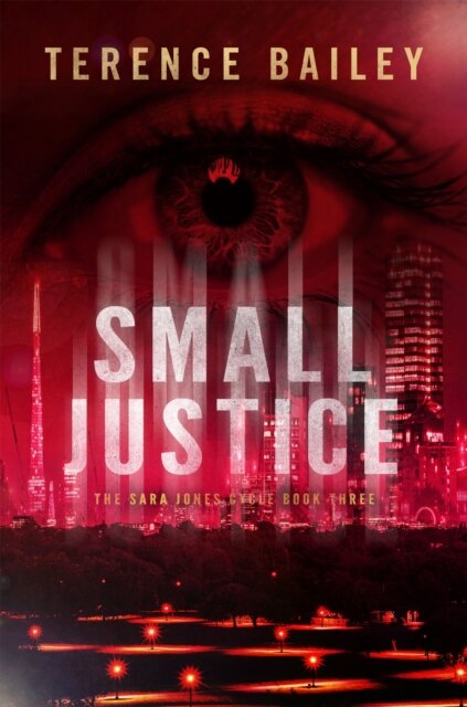 Small Justice