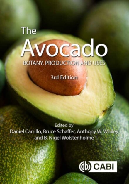 The Avocado