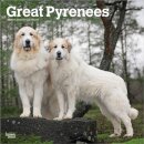 Great Pyrenees 2026 Square Flap Calendar