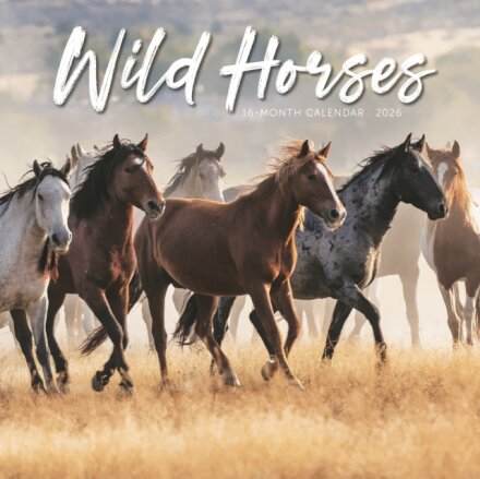 Wild Horses Square Wall Sunday Start Cal