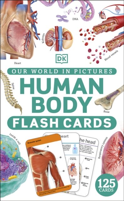 Our World in Pictures Human Body Flash Cards