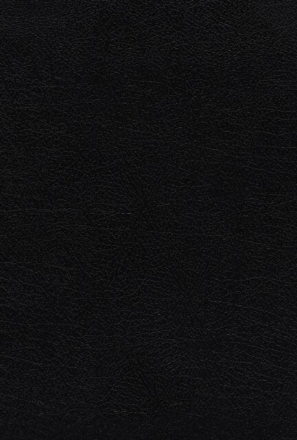 KJV, Thompson Chain-Reference Bible, Large Print, Bonded Leather, Black, Red Letter, Thumb Indexed, Comfort Print