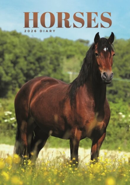 Horses A5 Diary 2026