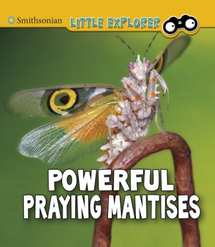 Powerful Praying Mantises