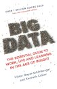 Big Data