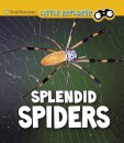 Splendid Spiders
