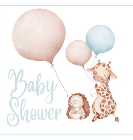 Baby shower guest book (Hardcover)