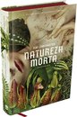Natureza Morta