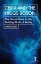 CERN and the Higgs Boson