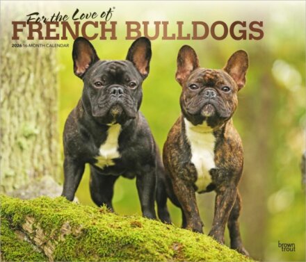 French Bulldogs, For the Love of 2026 Deluxe Flap Foil Calendar