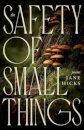 The Safety of Small Things