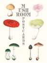 Mushroom Postcards