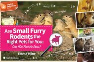 Are Small Furry Rodents the Right Pets for You