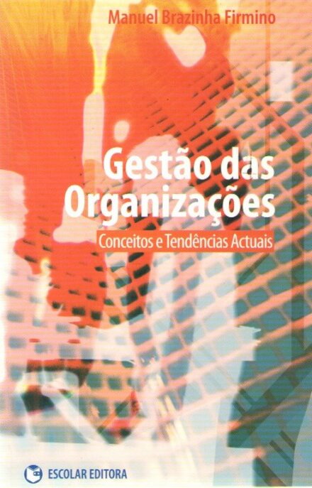 Gestao das Organizaçoes