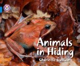 Animals in Hiding