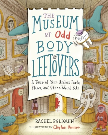 The Museum of Odd Body Leftovers