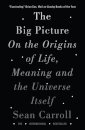 The Big Picture : On the Origins of Life, Meaning, and the Universe Itself