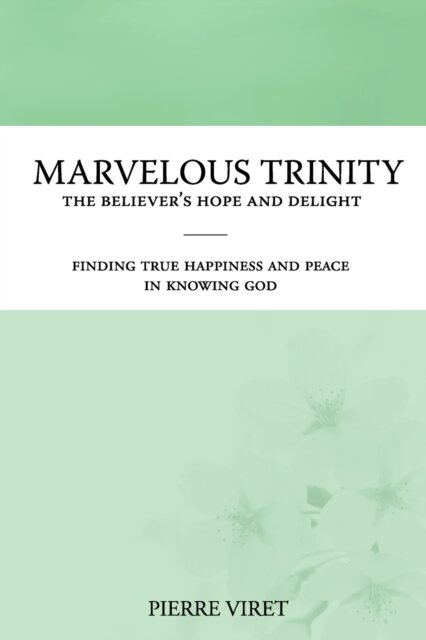 Marvelous Trinity, the Believer's Hope and Delight