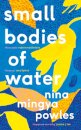 Small Bodies of Water