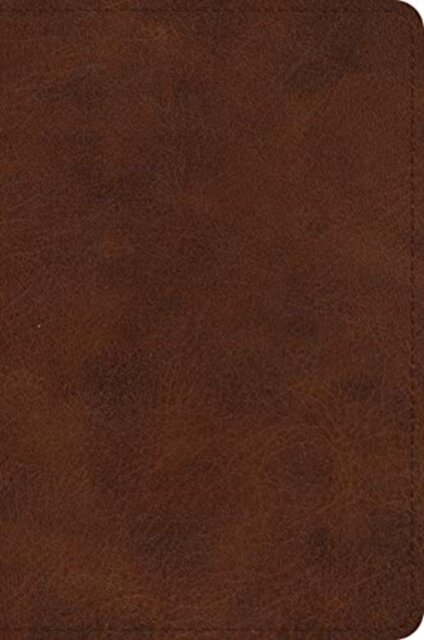 ESV Large Print Bible