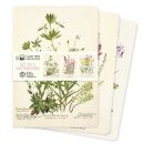 Royal Botanic Gardens Edinburgh Set of 3 Standard Notebooks