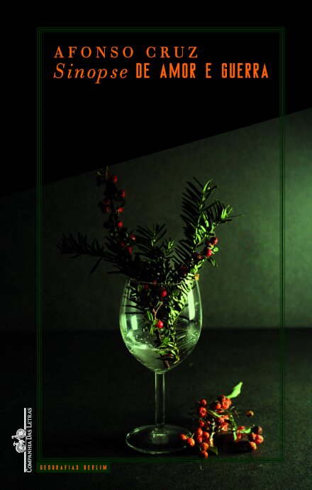 Sinopse de amor e guerra (Livro de Bolso)