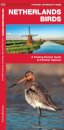 Netherlands Birds