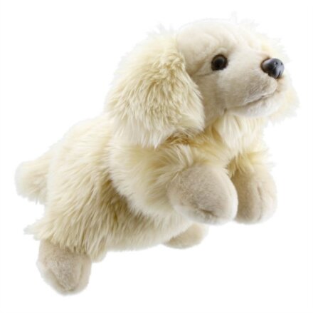Golden Retriever Soft Toy