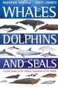 Whales, Dolphins and Seals