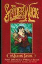 The Seeing Stone (Spiderwick 2)