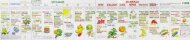 Vitamin Chart