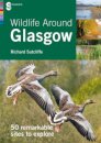 Wildlife Around Glasgow
