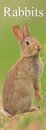 Rabbits Slim Calendar 2026  Cute Slimline Calendar - 12 Month
