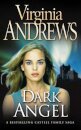 Dark Angel